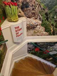 유럽여행 암스테르담 운하의 Amsterdam Tulip Museum