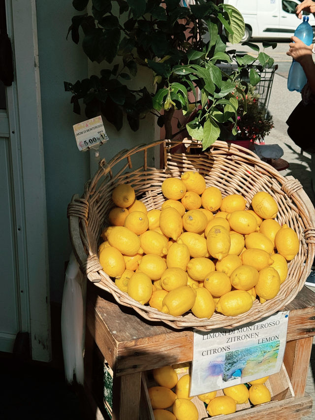 意大利🇮🇹五漁村🍋盛產檸檬💛黃色建築物🩵藍色的海