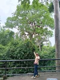 ทริป น้ำตกสวนรุกขชาติน้ำตกสำโรงเกียรติ