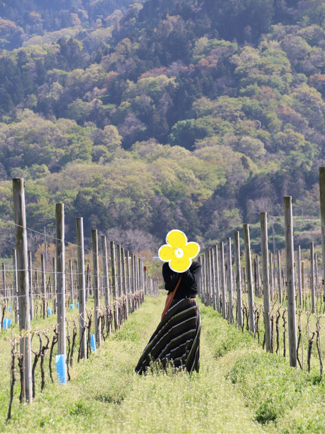 【新潟】まるで外国🍇泊まりも日帰りも楽しめるワイナリーで大人デートを。