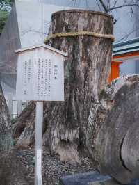 【大阪】神戶生田神社⛩️試玩結緣水占卜💦