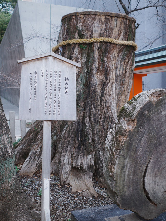 【大阪】神戶生田神社⛩️試玩結緣水占卜💦