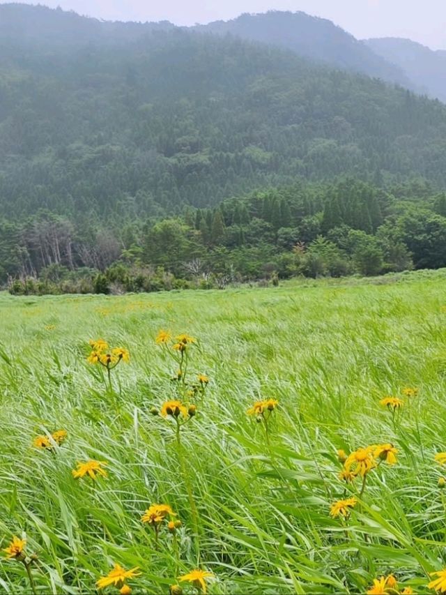■タデ原湿原