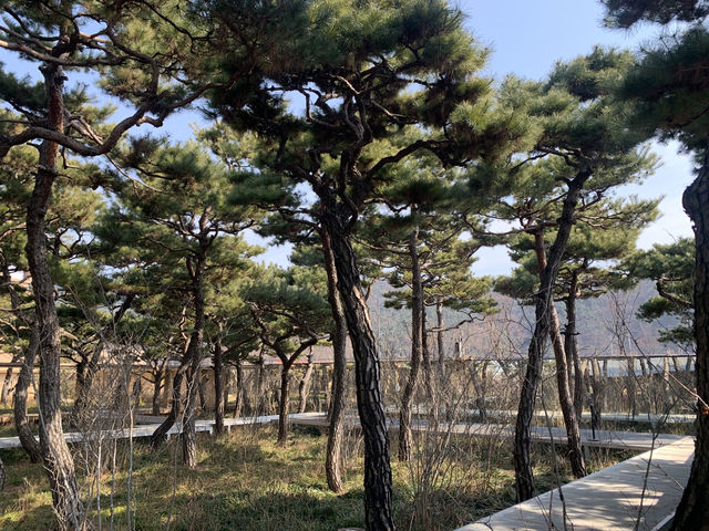 자연과 어우러진 대구의 감성 카페, Mrnw
