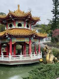 台北縱走第七段-櫻花山林茶鄉漫遊路線