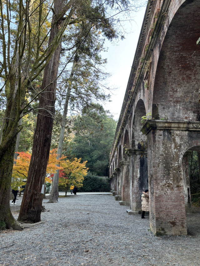燃えるような紅葉🍁南禅寺で極上の秋を！