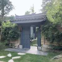 Timeless Charm at Langzhong Ancient Town 🇨🇳