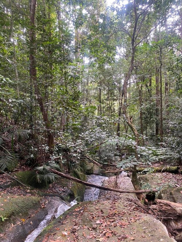Conquering Gunung Ledang: A Breathtaking Adventure