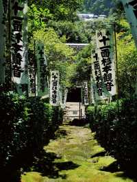 景點推薦：東京近郊・鎌倉報國寺——靜謐竹林中的禪意世界