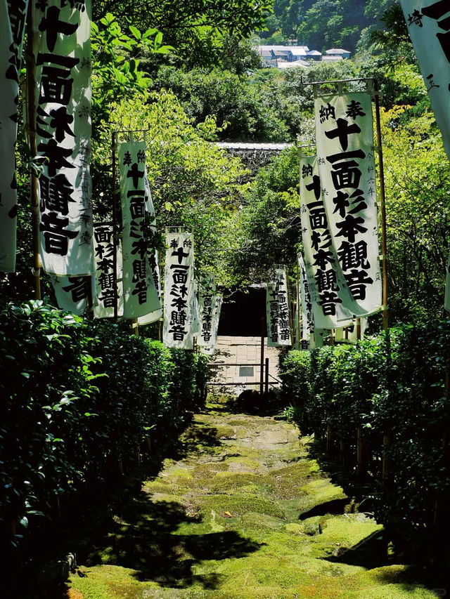 景點推薦：東京近郊・鎌倉報國寺——靜謐竹林中的禪意世界