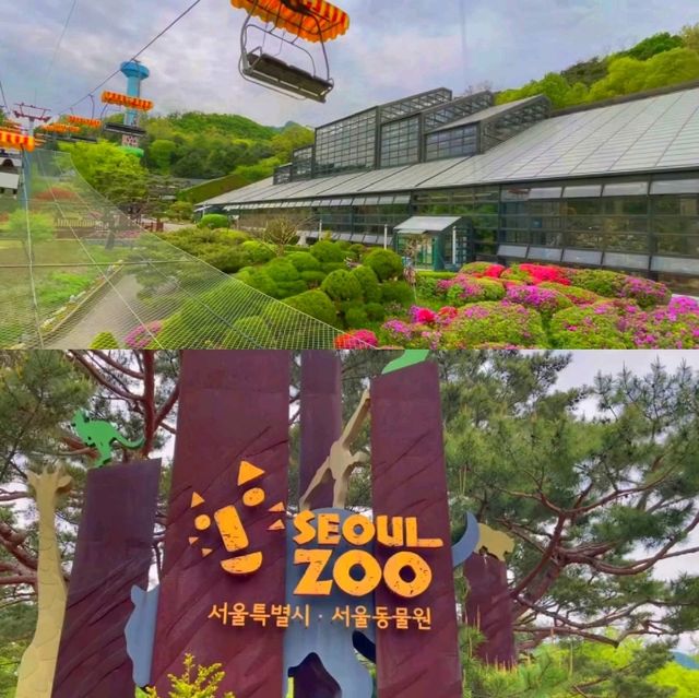 首爾打卡景點