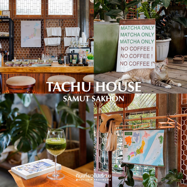 รีวิวร้านมัทฉะสำหรับสาย Specialty ep.3