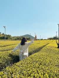 打卡濟州島Osulloc綠茶園🍃