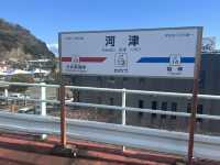 看看東日本最早盛開的櫻花 體驗伊豆半島獨有文化