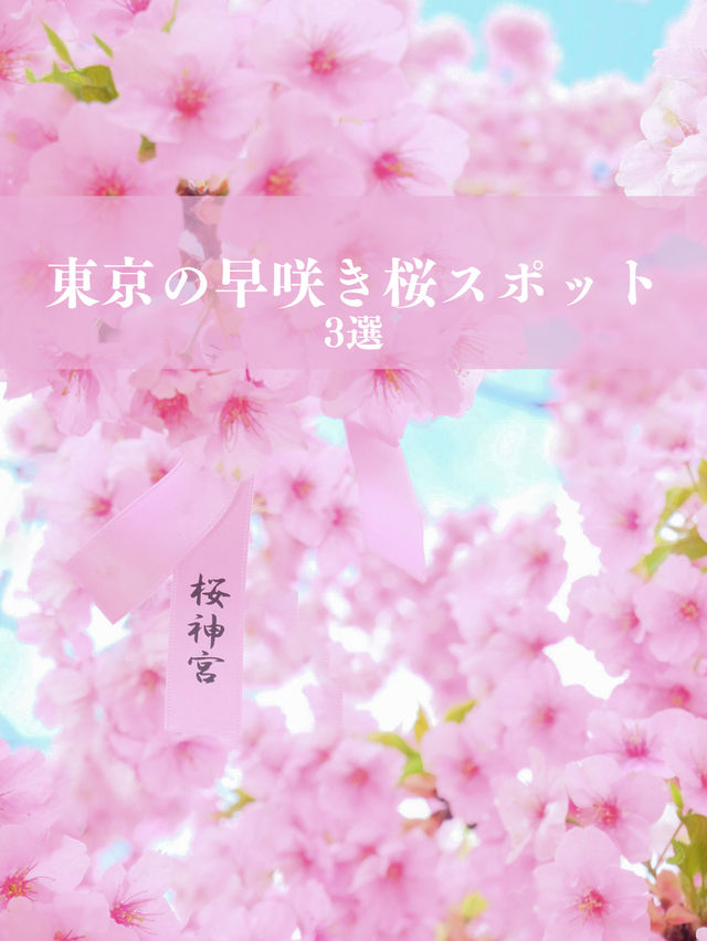 【東京】早咲きの桜3選