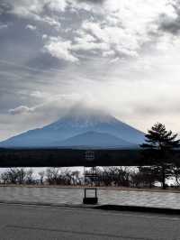 隱世富士山眺望の宿 精進マウントホテル🗻 #東京近郊
