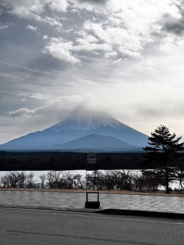 隱世富士山眺望の宿 精進マウントホテル🗻 #東京近郊