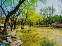 Nature's Haven: Quan City Park Jinan