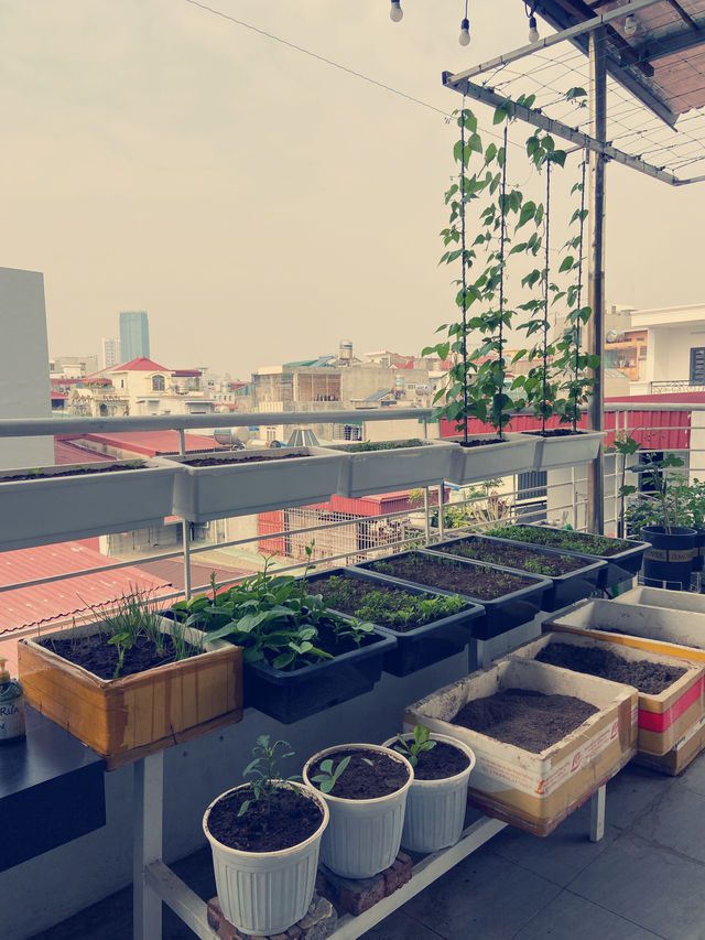 Helpful homestay in Hai Phong warm my heart ❤️ 