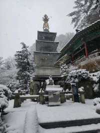 救仁寺📺 冬天去不怕賞不到雪 太多雪了
