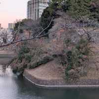 Chidorigafuchi (千鳥ヶ淵)