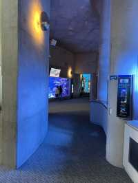 大分　🩵水族館🦭🐬
