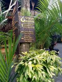 The Yoga Barn: more than just a regular yoga studio