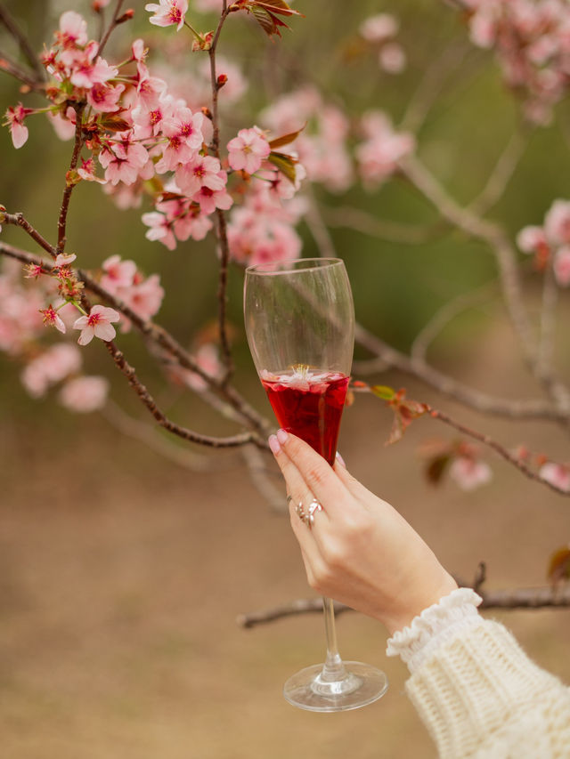 Blooming in Vladivostok 
