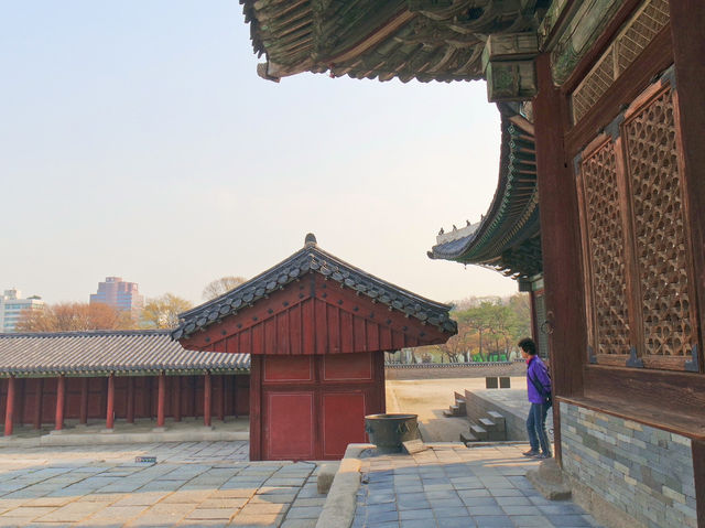 🌳봄꽃구경하며 나들이&데이트 하기 좋은 서울 창경궁🌸