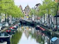 "Haarlem: The Hidden Gem of Dutch History and Culture"