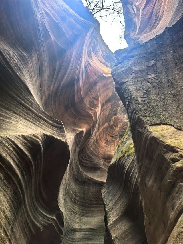From Springs to Smiles: My Ganquan Adventure
