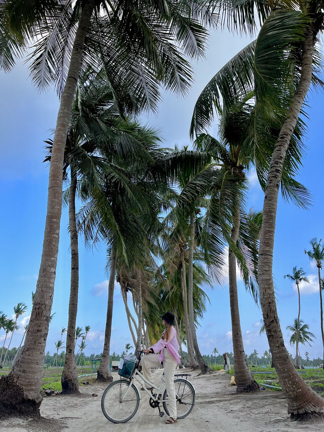 A peaceful paradise🧡