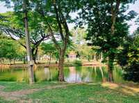 泰國曼谷市中心素坤逸區城市綠洲公園一日遊行程，親子遊行程，素坤逸繁華大道，適合打卡拍照📸親子遊