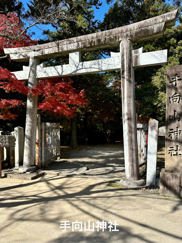 奈良・女子ひとり旅