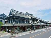 Chasing Sakura at Shingashi River in Kawagoe