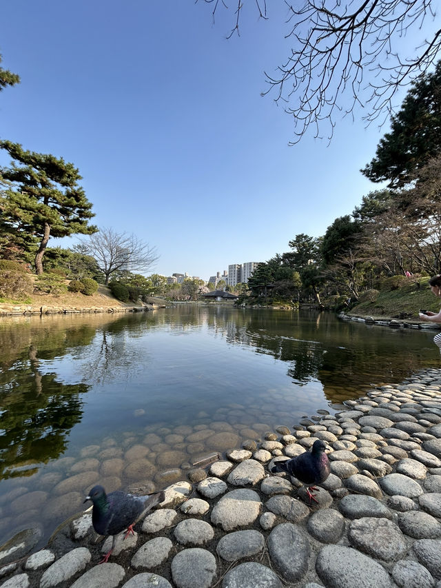 【広島】アクセス抜群！江戸を感じる縮景園