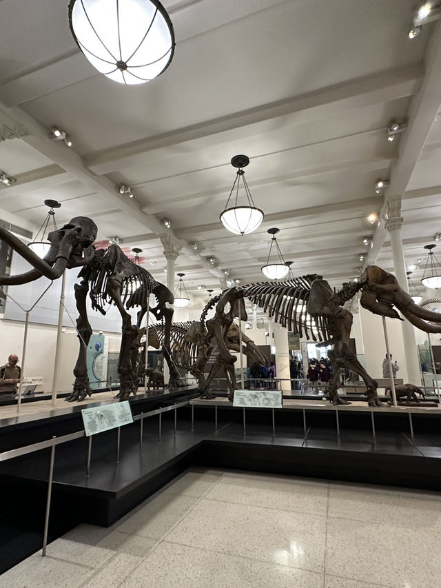 American Museum of Natural History