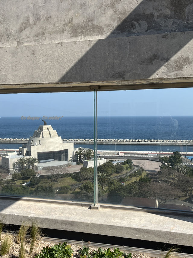 공항 근처의 깔끔한 가성비 호텔 맹그로브 제주시티🌴