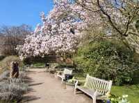 Fletcher Moss Botanical Gardens