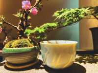 【名古屋】期間限定🌸桜の盆栽と頂くサイフォン式ドリンク