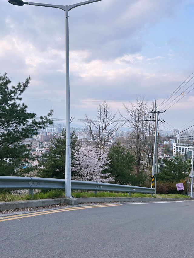 청주 도심 속 감성 뷰포인트, 수암골 전망대🤍💛