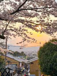 京都櫻花🌸一生必來一次清水寺看櫻花