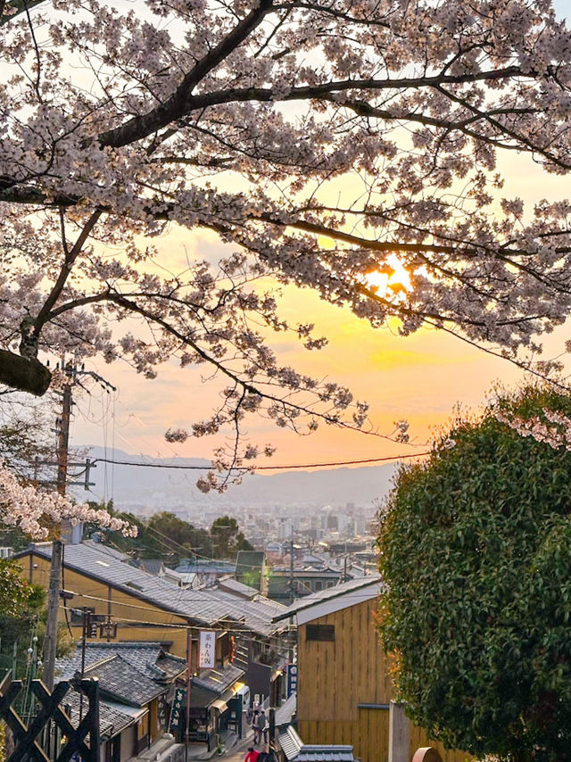 京都櫻花🌸一生必來一次清水寺看櫻花