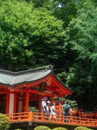 朱のトンネルをくぐって、心が浄化される根津神社⛩️🌿