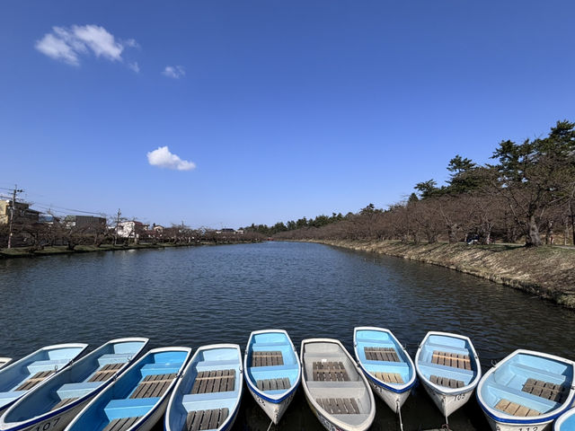 【青森県】4月上旬桜、、、咲く前