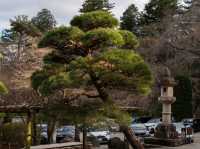賽登山神社をゆっくり見学