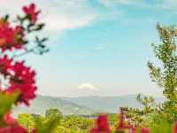 Komuroyama in Color: A Blooming Spring Escape