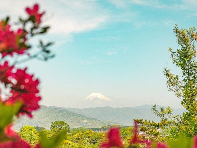 Komuroyama in Color: A Blooming Spring Escape
