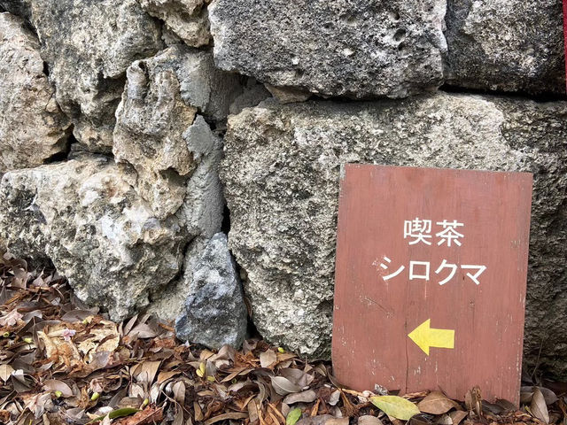 【石垣島】石垣島好きが推す　おすすめカフェ