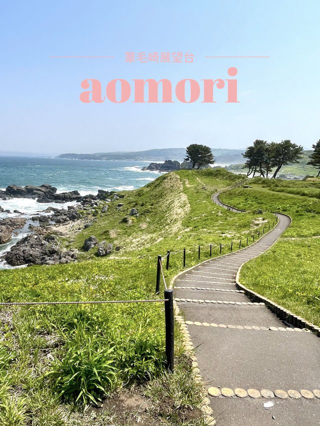 【青森× 葦毛崎展望台】美しい海岸線、激しい波、海の景色が見られます！
